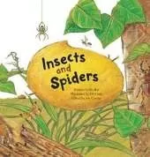 Insects and Spiders: Insects and Spiders