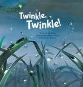 Twinkle Twinkle: Insect Life Cycle