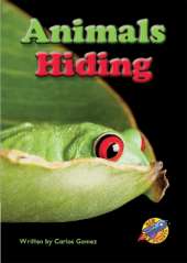 Animals Hiding