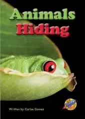 Animals Hiding