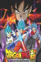 Dragon Ball Z Coloring Book: High Quality Coloring Pages for Kids and Adults, Color All Your Favorite Characters, Great Gift for Dragon Ball Lovers
