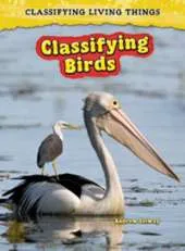 Classifying Birds