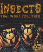 Insects That Work Together