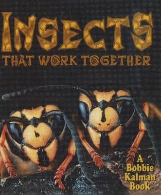 Insects That Work Together