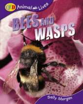 Bees and Wasps