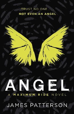 Angel: A Maximum Ride Novel: (Maximum Ride 7)