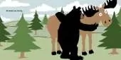 Big Bear Hug