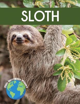 Sloth: Fascinating Animal Facts for Kids