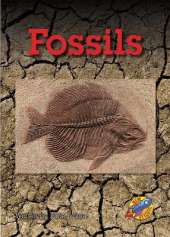 Fossils