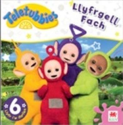 Llyfrgell Fach