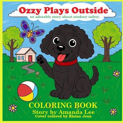 Ozzy Plays Outside - Coloring Book: An adorable coloring story about outdoor safety