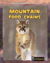 Mountain Food Chains