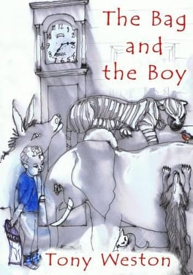 The Bag and the Boy