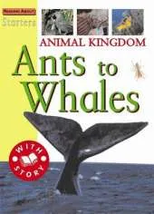 Starters: Animal Kingdom-Ants To Whale