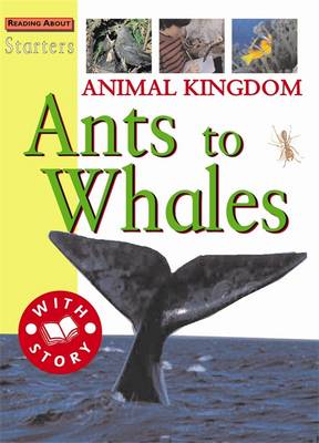 Starters: Animal Kingdom-Ants To Whale