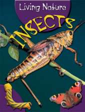 LIVING NATURE INSECTS