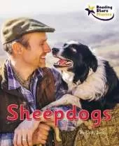 Sheepdogs: Phonics Phase 3