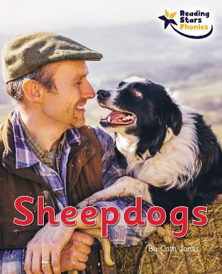 Sheepdogs: Phonics Phase 3