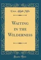 Waiting in the Wilderness (Classic Reprint)