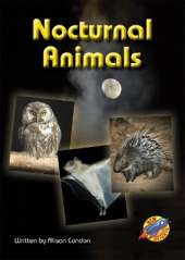 Nocturnal Animals