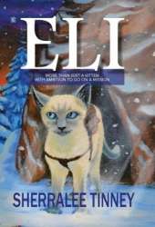 Eli: More Than Just a Kitten with Ambition to Go on a Mission