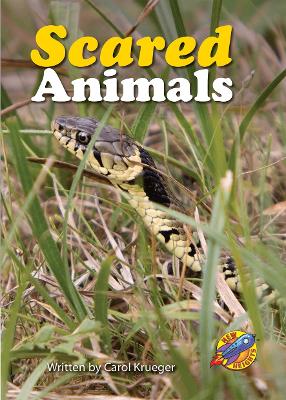 Scared Animals