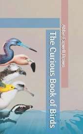 The Curious Book of Birds