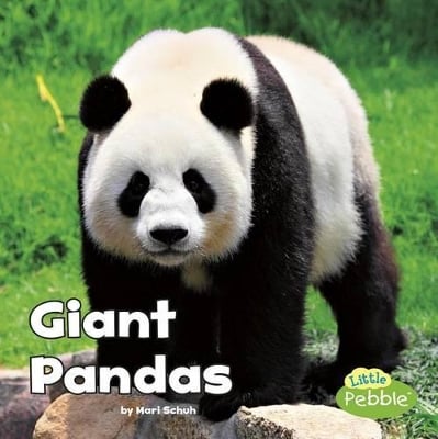 Black and White Animals Giant Pandas