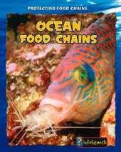 Ocean Food Chains