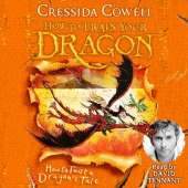 How to Train Your Dragon: How to Twist a Dragon's Tale: Book 5