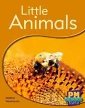 Little Animals
