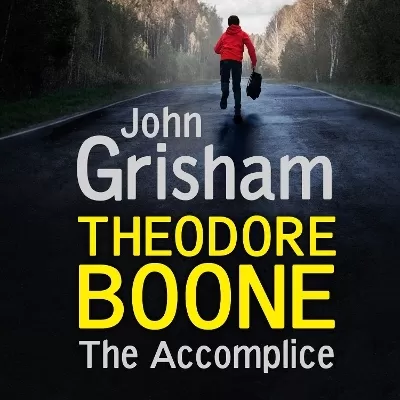 Theodore Boone: The Accomplice: Theodore Boone 7
