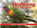 Walking with Wildlife - Book 5: Spring Time