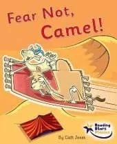 Fear Not, Camel!: Phase 4