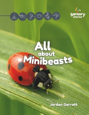 All about Minibeasts: A Sensory Story