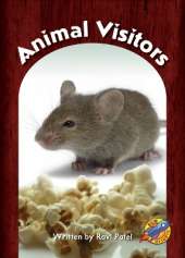 Animal Visitors