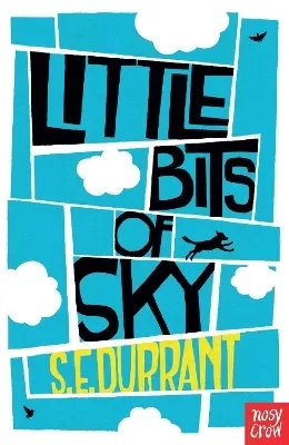 Little Bits of Sky by Sue Durrant