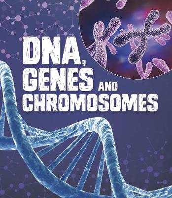 DNA, Genes, and Chromosomes