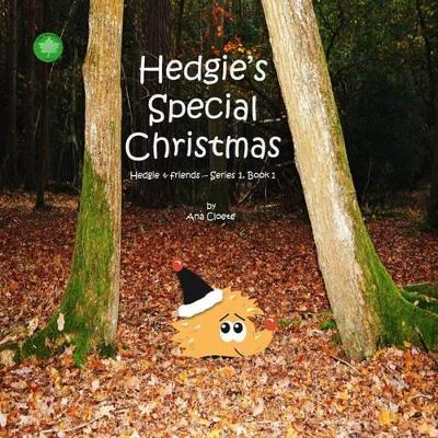 Hedgie's Special Christmas