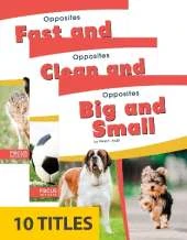 Opposites (Set of 10)