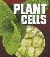 Plant Cells