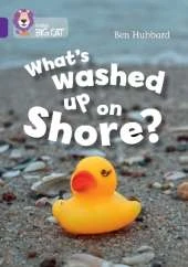 What's washed up on shore?: Band 08/Purple