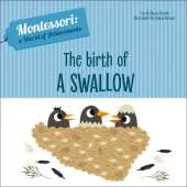 The Birth of a Swallow: Montessori: A World of Achievements