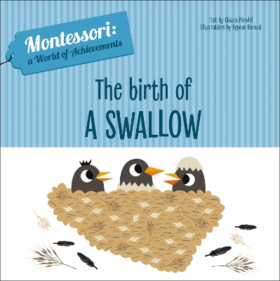 The Birth of a Swallow: Montessori: A World of Achievements