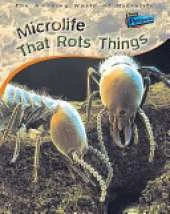 Perspectives: Amazing World of Microlife That Rots