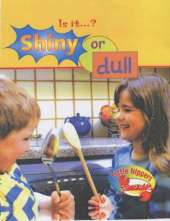 Shiny or Dull