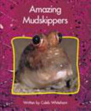 Springboard Lvl 18h: Mudskipper