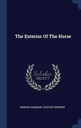 The Exterior of the Horse
