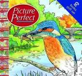 Picture Perfect Slipcase