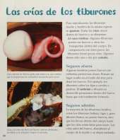 Tiburones Espectaculares